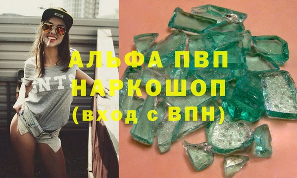 индика Арсеньев