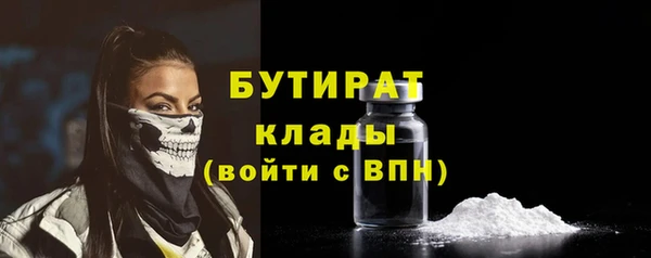 индика Арсеньев