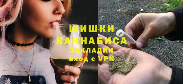индика Арсеньев