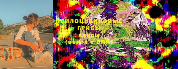 индика Арсеньев