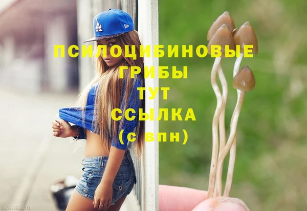 PSILOCYBIN Алзамай